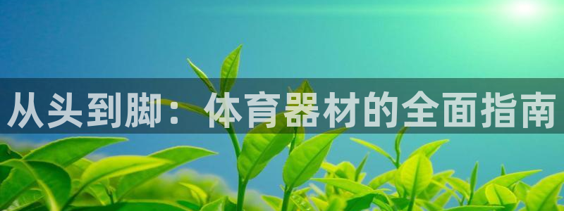 星欧娱乐最建议买的三个产品是什么呢：从头到脚：体育器